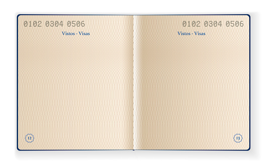 Vector Illustration of two interior pages of a blank passport